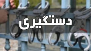 دستگیری متهم متواری در تهران – خبرگزاری مهر | اخبار ایران و جهان