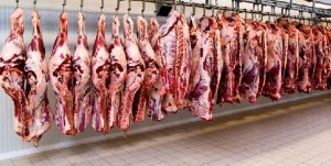قیمت گوشت از اواسط آبان به ثبات می‌رسد
